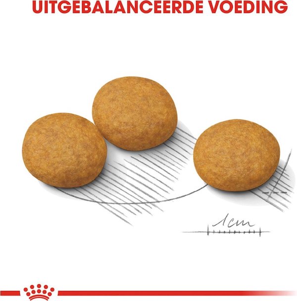 Hondenbrokjes Royal Canin